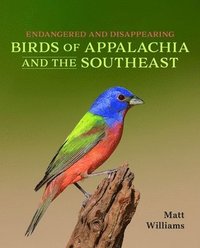 bokomslag Endangered and Disappearing Birds of Appalachia and the Southeast