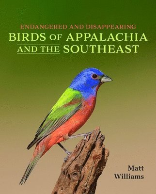 Endangered and Disappearing Birds of Appalachia and the Southeast 1