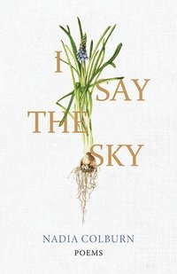 bokomslag I Say the Sky