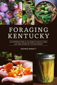 bokomslag Foraging Kentucky