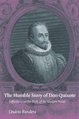 bokomslag The Humble Story of Don Quixote