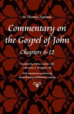 bokomslag Commentary on the Gospel of John Bks. 6-12