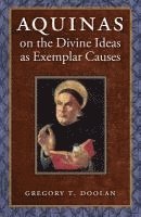 bokomslag Aquinas on the Divine Ideas as Exemplar Causes