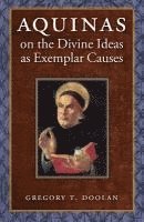 bokomslag Aquinas on the Divine Ideas As Exemplar Causes