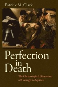 bokomslag Perfection in Death