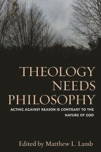 bokomslag Theology Needs Philosophy