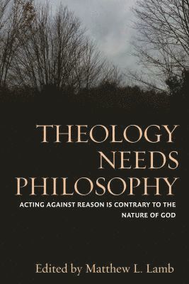 bokomslag Theology Needs Philosophy