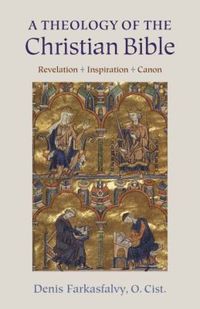 bokomslag Theology of the Christian Bible