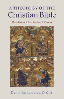 bokomslag Theology of the Christian Bible