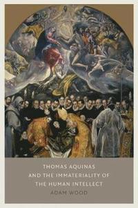 bokomslag Thomas Aquinas on the Immateriality of the Intellect