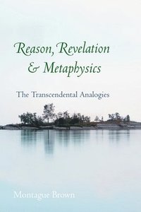 bokomslag Reason, Revelation, and Metaphysics