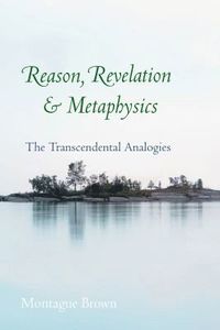 bokomslag Reason, Revelation, and Metaphysics