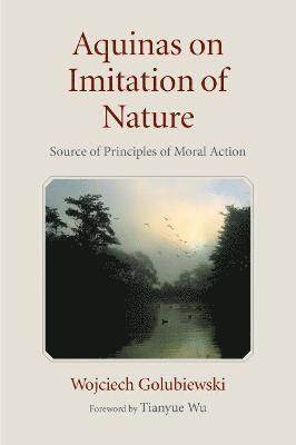 bokomslag Aquinas on Imitation of Nature