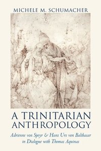 bokomslag A Trinitarian Anthropology