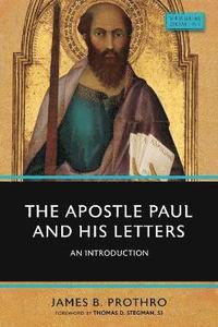 bokomslag The Apostle Paul and His Letters