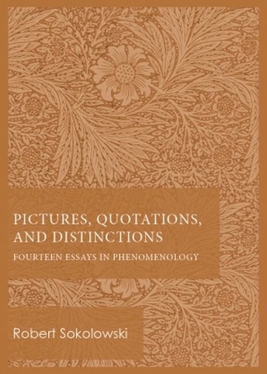 Robert Sokolowski - Pictures, Quotations, and Distinctions, Häftad