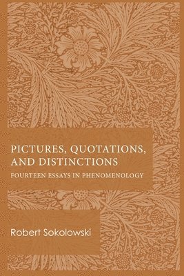 Robert Sokolowski - Pictures, Quotations, and Distinctions, Häftad