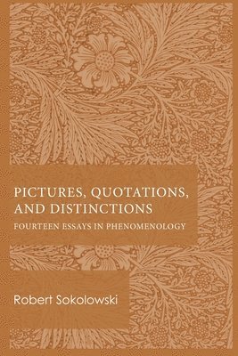 Pictures, Quotations, and Distinctions 1