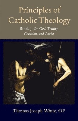 bokomslag Principles of Catholic Theology, Book 3