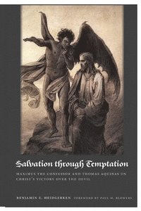 bokomslag Salvation Through Temptation