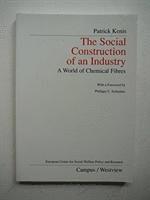 bokomslag The Social Construction of an Industry
