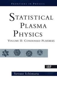 bokomslag Statistical Plasma Physics, Volume II