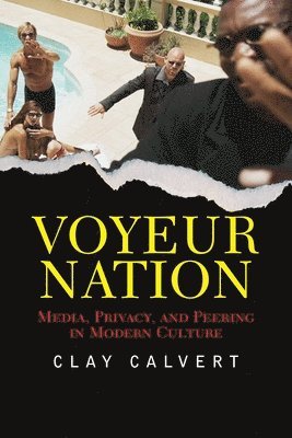 bokomslag Voyeur Nation
