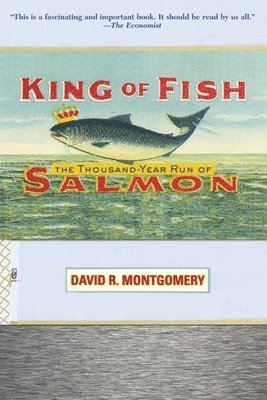 bokomslag King of Fish: The Thousand-Year Run of Salmon