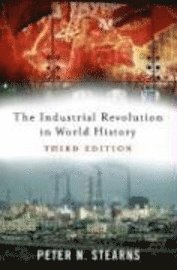 bokomslag The Industrial Revolution in World History