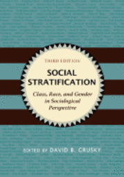 bokomslag Social Stratification