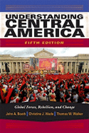 bokomslag Understanding Central America