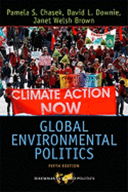 bokomslag Global Environmental Politics