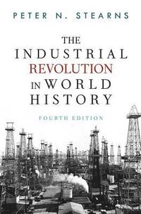 bokomslag The Industrial Revolution in World History