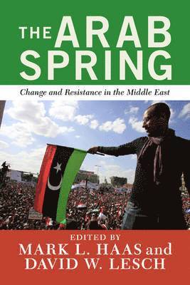 bokomslag The Arab Spring