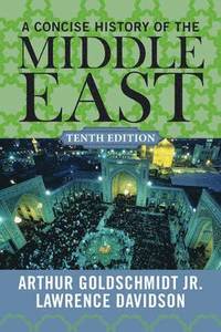 bokomslag A Concise History of the Middle East