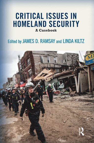 bokomslag Critical Issues in Homeland Security