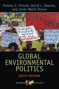 bokomslag Global Environmental Politics