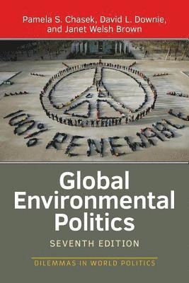 Global Environmental Politics, 8th Edition 1