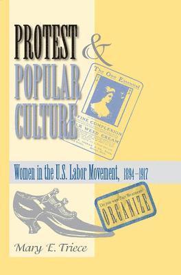 Protest And Popular Culture 1