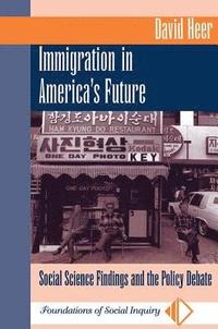 bokomslag Immigration In America's Future