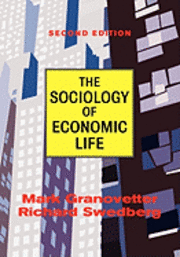 bokomslag Sociology Of Economic Life