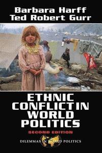 bokomslag Ethnic Conflict In World Politics