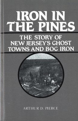 bokomslag Iron in the Pines: The Story of New Jersey's Ghost Towns and Bog Iron