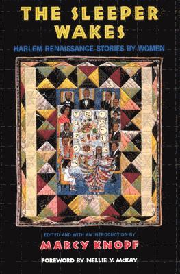 bokomslag The Sleeper Wakes: Harlem Renaissance Stories by Women