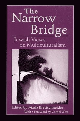 bokomslag The Narrow Bridge: Jewish Views on Multiculturalism