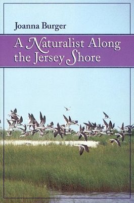 A Naturalist Along the Jersey Shore 1