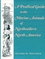 Practical Guide to the Marine Animals of Northeastern North America 1