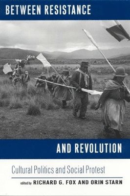 bokomslag Between Resistance and Revolution: Cultural Politics and Social Protest