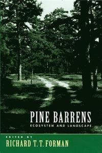 bokomslag Pine Barrens