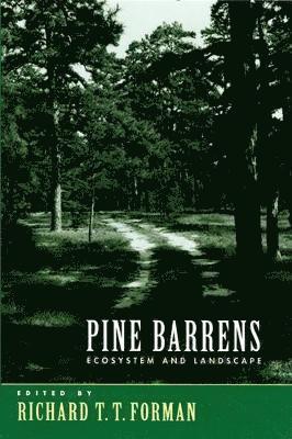 Pine Barrens 1
